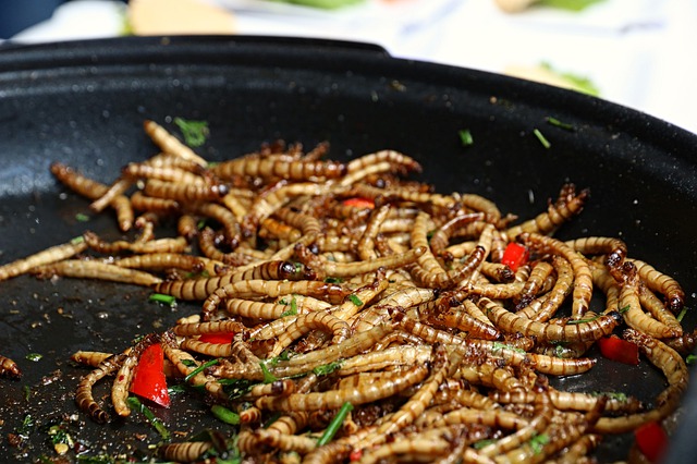 Pourquoi manger de l'insectes ?