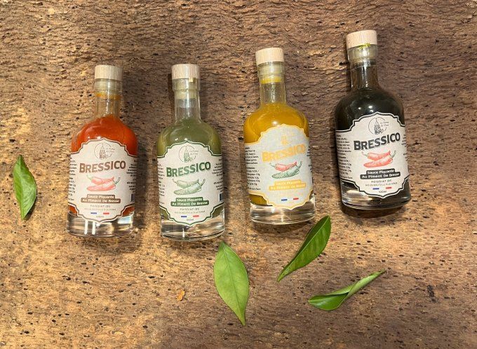 Carrousel 4 Bressicos