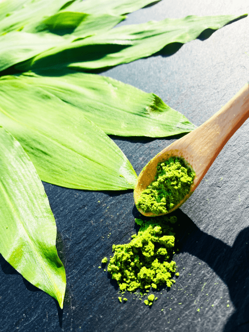 Ail des Ours - façon Pesto