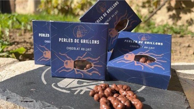 Perles de grillons